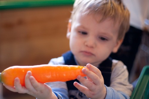 Ethan contemplates a plastic carrot